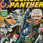 Panther Versus the Klan