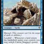 MTG: Turtle