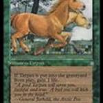 MTG: Tarpan
