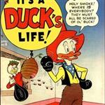 Buck Duck