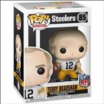 Terry Bradshaw