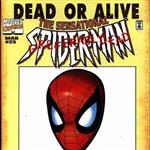 Spiderhunt