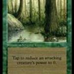 MTG: Singing Tree