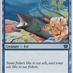 MTG: Eel
