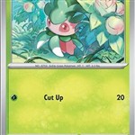Fomantis