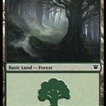 MTG: Forest