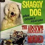 Shaggy Dog