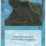 MTG: Tortoise
