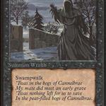 MTG: Wraith