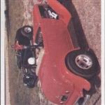 Ted Wingate