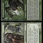 MTG: Werewolf