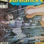 Tag: Homage Cover - Punisher (1986) #1
