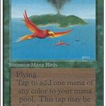 MTG: Mana Birds