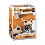 Shoyo Hinata