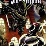 Hawk's Shadow