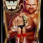 Arn Anderson