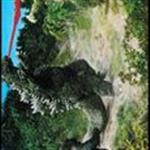 Gabara