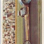 Connie Kalitta