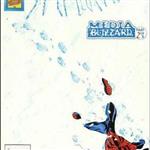 Media Blizzard